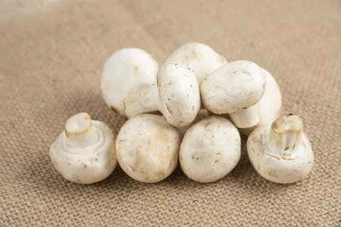 White mushrooms isolated on a piece of burlap Stock Photos