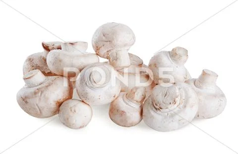 White mushrooms Stock Photos