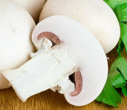 White mushrooms 스톡 사진