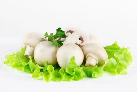 White mushrooms Stock Photos