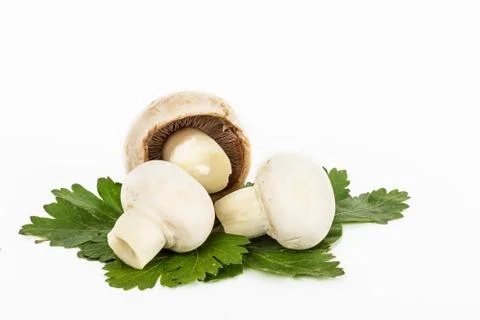White mushrooms Foto stock