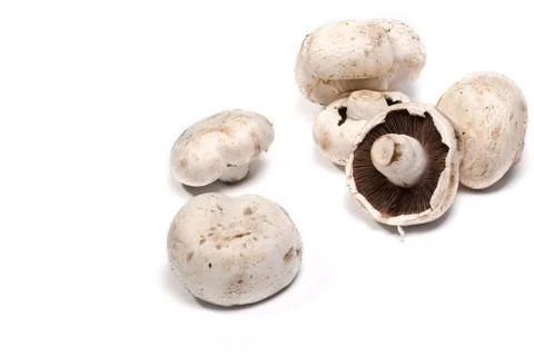 White mushrooms Stock Photos