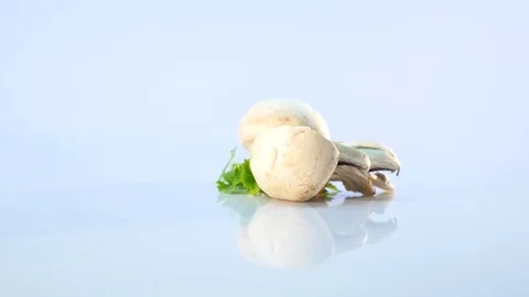 White mushrooms on white background Stock Footage 78750236