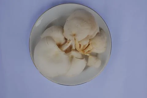 White mushrooms on a white plate isolated on a white background 库存照片