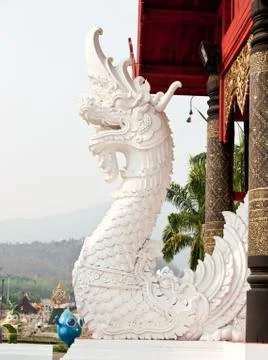 White naga . Stock Photos