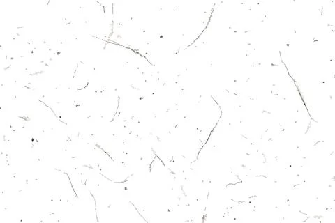 White natural paper texture with subtle organic flecks for eco-friendly pro.. Stock Illustration