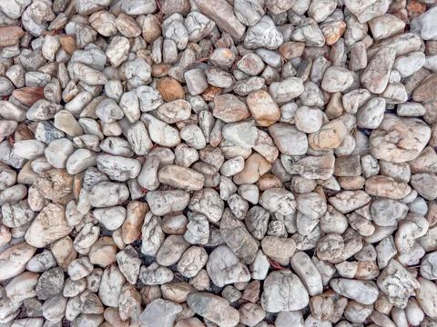 White natural pebbles texture with rounded sea stones and neutral colors, r.. Foto stock