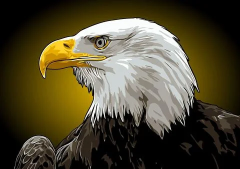 White neck eagle vector template Stock Illustration