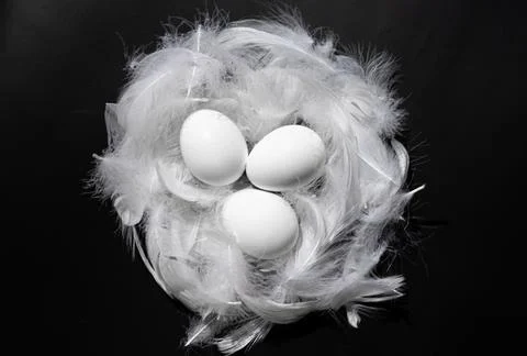 White nest with eggs on white background Stock Photos