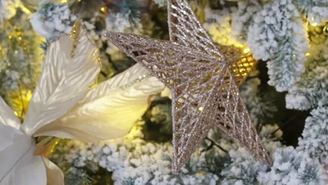 White New Year tree background Vidéo 98065862