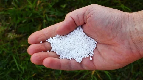 White nitrogen fertilizer in the palm of your hand Stock Footage 107560428