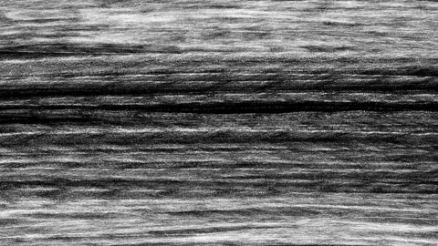 White noise animation on black background in 4K. Abstract distorted waves bend Stock Footage 329199490