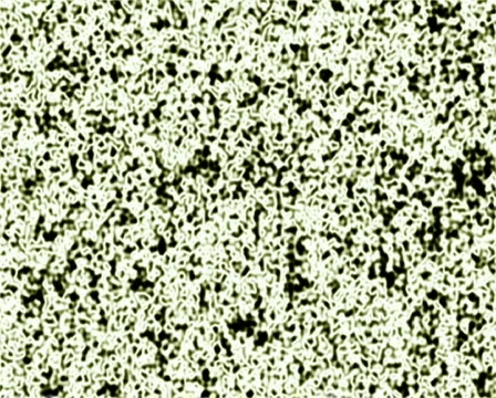 White Noise Plasma Video stock 102805