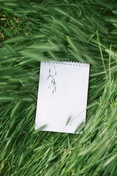White notebook in the green grass Stock Photos