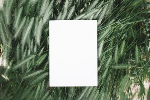 White notebook in the green grass Stock Photos