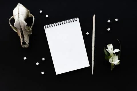 White notebook mockup template on black background with magical mysterious mood. Фото