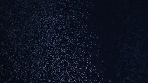 White nowflakes floating in the air on a black background.Ideal for making video Stock Footage 102374091
