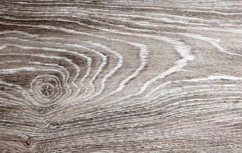 White oak background, solid hardwood texture Stock Photos