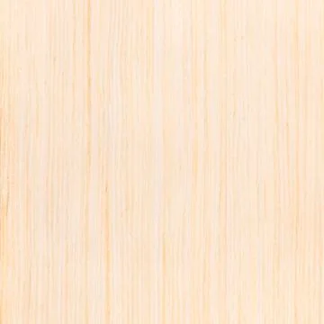 White oak background of tree background Foto stock