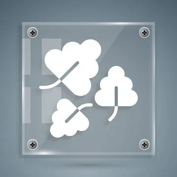 White Oak leaf icon isolated on grey background. Square glass panels. Vector Stock Illustration