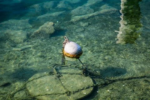 A white object is floating in the water 스톡 사진