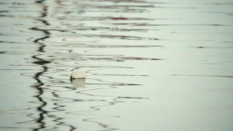 White object floats on the calm water surface, creating gentle ripples and Vídeo Stock 339813613