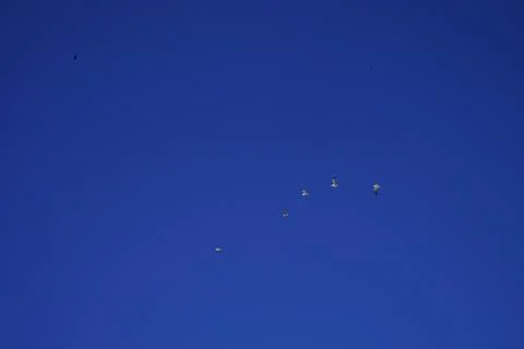 White objects on a blue background Stock Photos