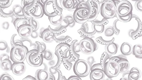 White Octopus Tentacle Rings Falling in Seamless Loop Animation Stock Footage 326020983