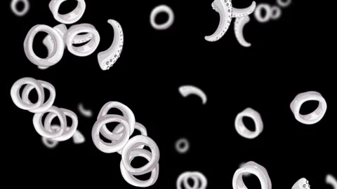 White Octopus Tentacle Rings Falling on Black Background Stock Footage 327114158