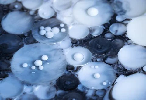 White oil beads in solution Stock Photos
