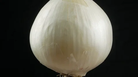 White onion on black background Stock-Footage 102187035