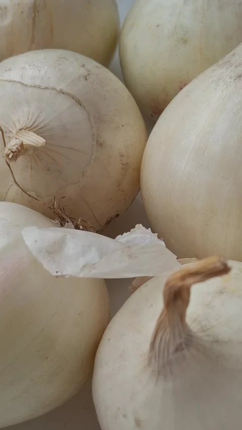White onion Stock-Footage 344480173