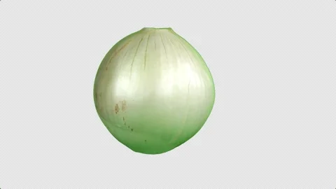 White onion head (alpha channel) Video stock 235921156