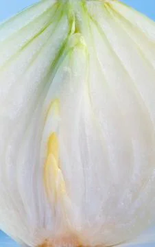 White onion Stock Photos