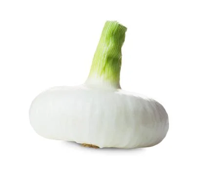 White onion Stock Photos