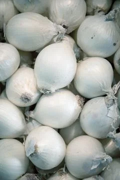 White onions close up Stock Photos