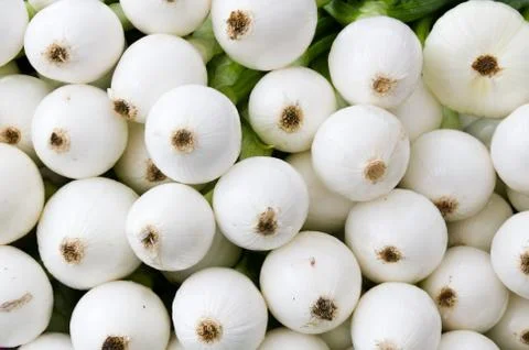 White onions on display 写真素材