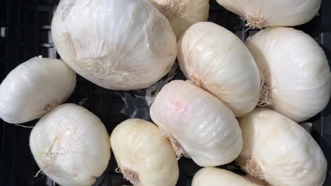 White onions displayed in black plastic box Stock Footage 307223059
