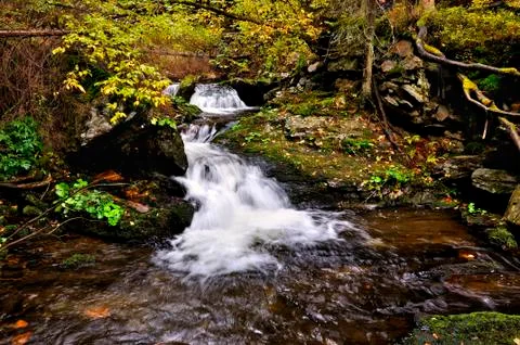 White opava Stock Photos