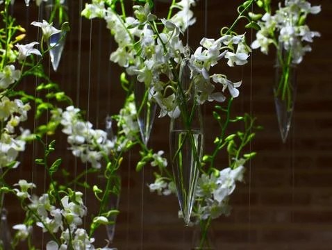 White orchid decorations Stock Photos