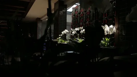 White Orchids Design Stock Footage 106168763