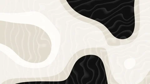 White Organic Abstract Background Stock Footage 340255948