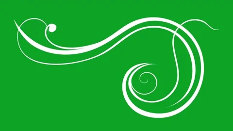 White ornamental flourish decorative scroll animation on green screen background Stock Footage 332888634