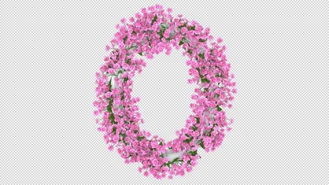 White Oval Floral Frame With Pink Blooming Flowers On Transparent Background Stock Footage 201680976