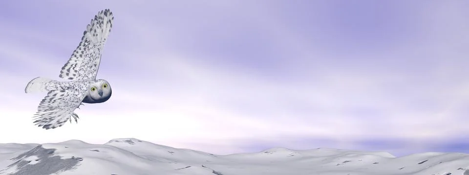 White owl - 3D render Stock Illustration