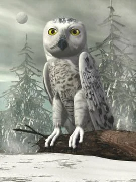 White owl - 3D render Stock Illustration