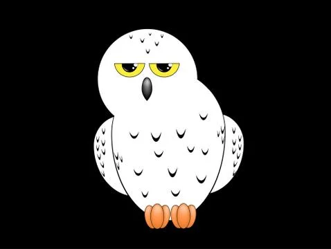 White owl isolated on a black background Stock Illustration