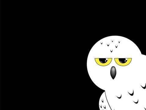 White owl isolated on a black background Stock Illustration