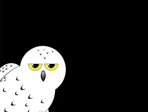 White owl isolated on a black background Stock Illustration