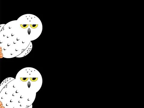 White owl isolated on a black background 스톡 일러스트